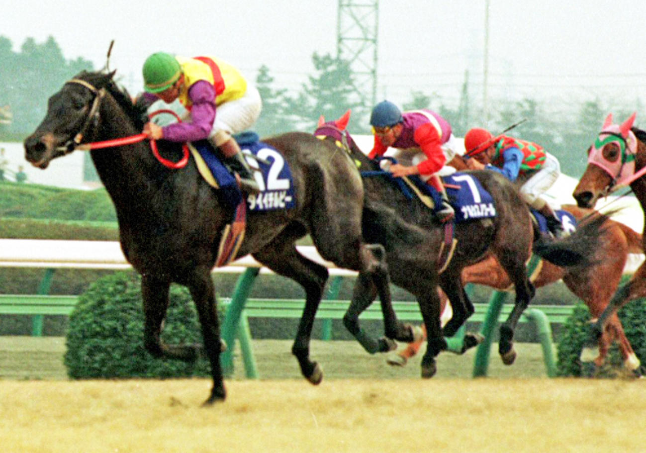 91年スプリンターズS１着のダイイチルビー（左）