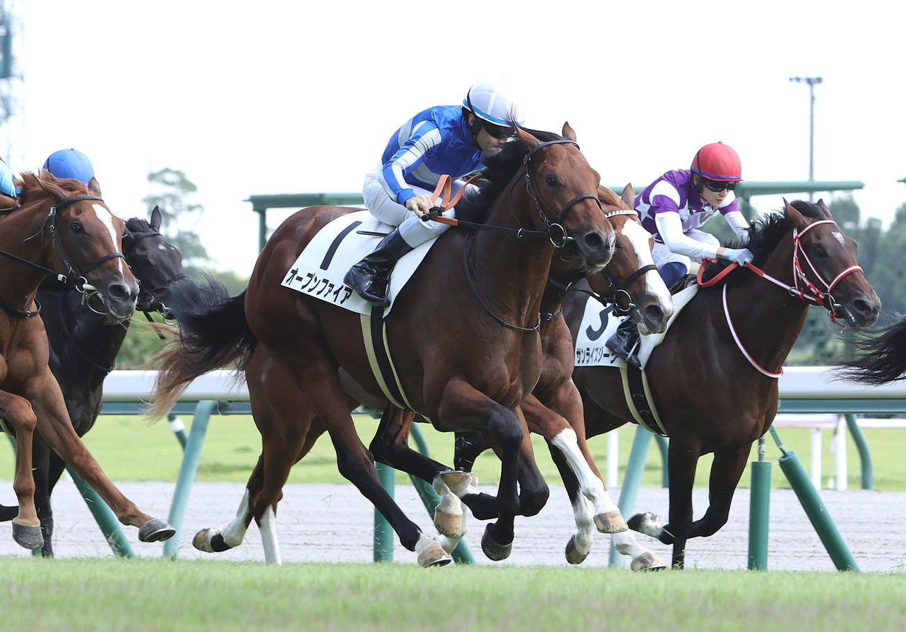 22年9月11日、ゴール前豪快に追い込んで新馬戦を制したオープンファイア