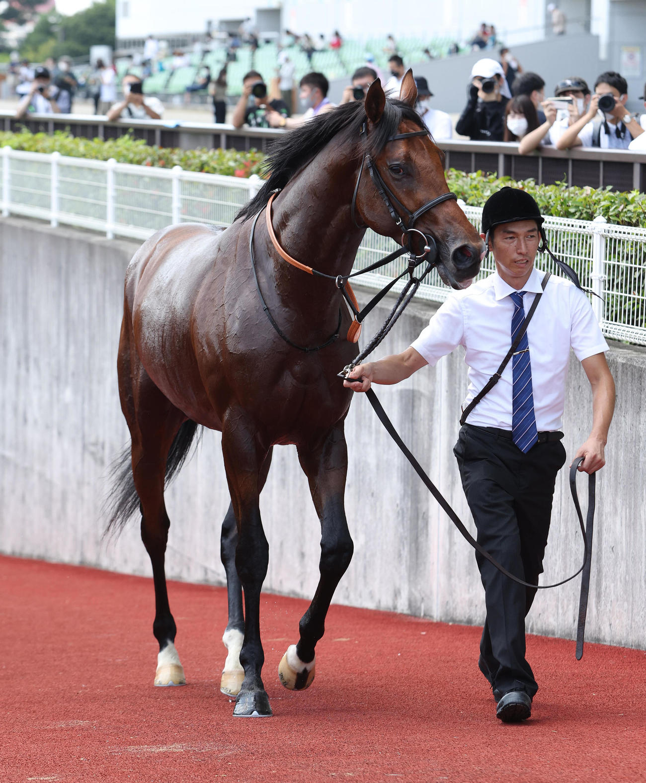 22年9月11日、新馬戦を制したオープンファイア
