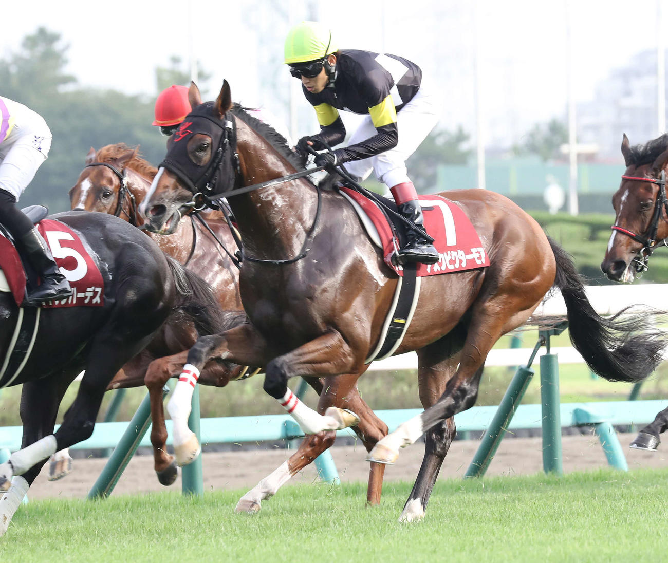 セントライト記念に出走したアスクビクターモアと田辺騎手（2022年9月19日撮影）