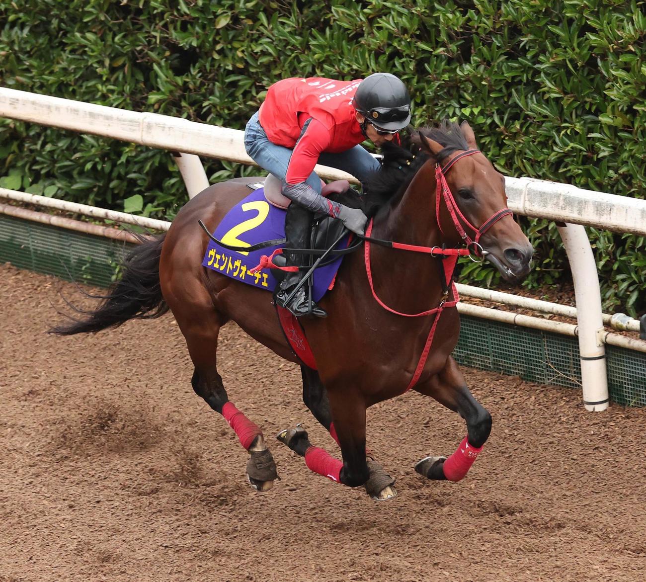 ヴェントヴォーチェ（2022年9月28日撮影）