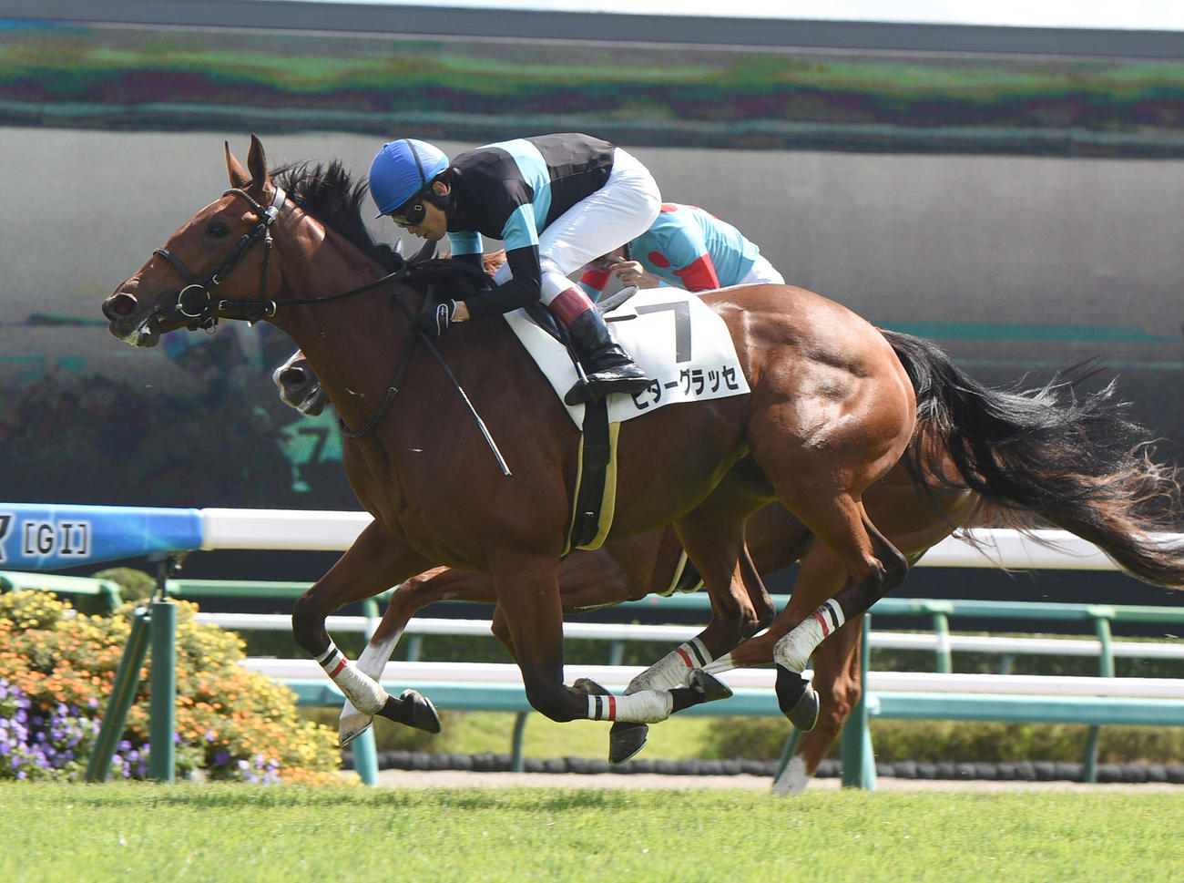 ビターグラッセと田辺裕信騎手（撮影・柴田隆二）