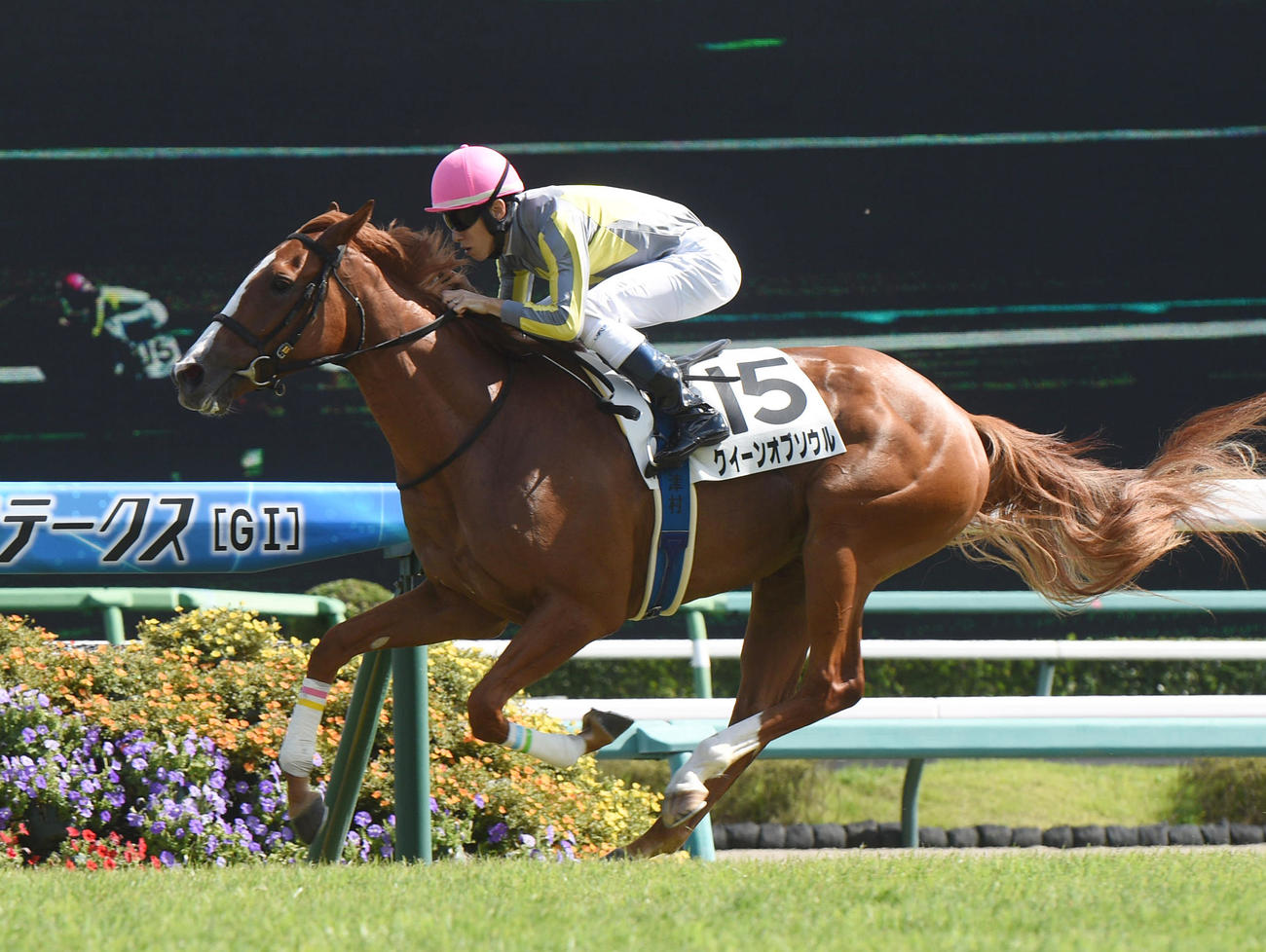 5R、新馬戦を制したクイーンオブソウルと津村騎手（撮影・柴田隆二）