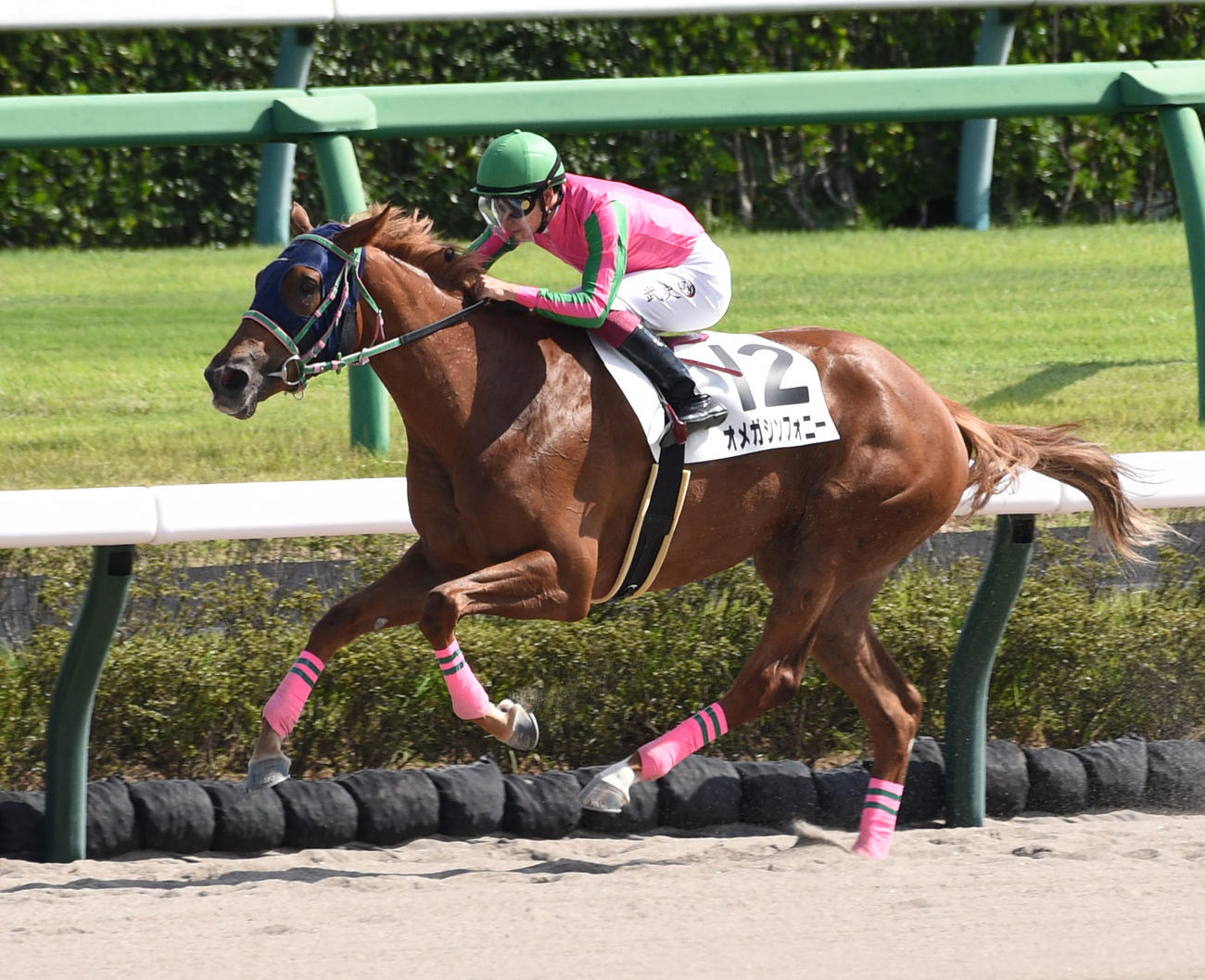 6R、新馬戦を制したオメガシンフォニーと横山武騎手（撮影・柴田隆二）