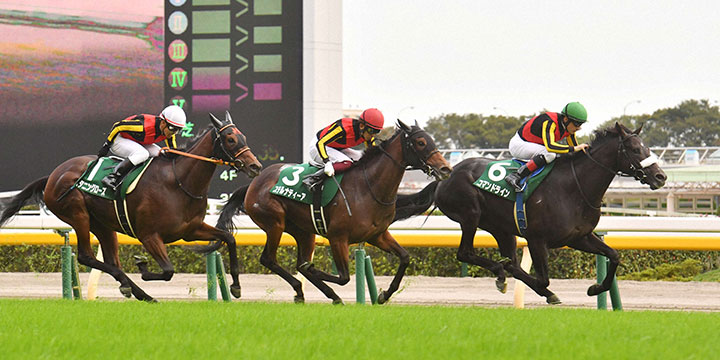 サウジアラビアRCを制したコマンドライン（右）＝2021年10月9日、東京競馬場