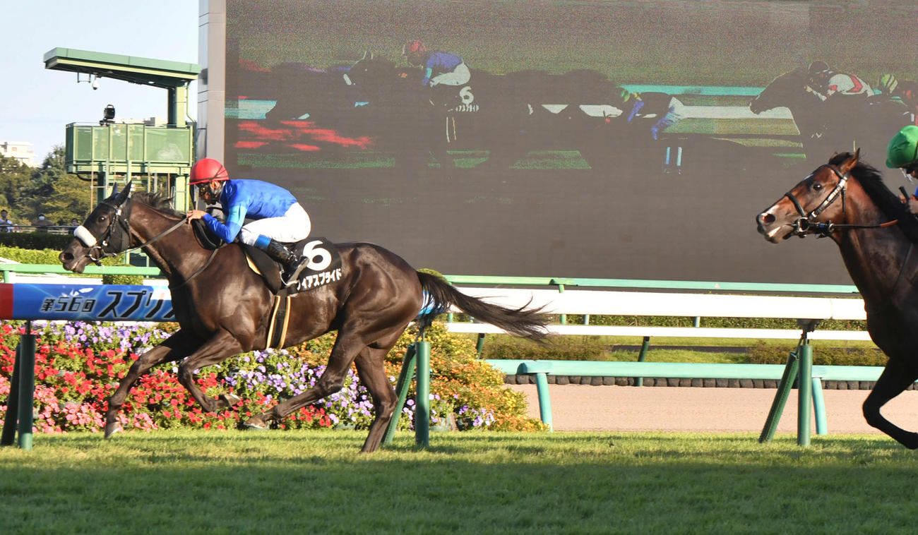秋風Sを制したフィアスプライドと浜中騎手（撮影・柴田隆二）