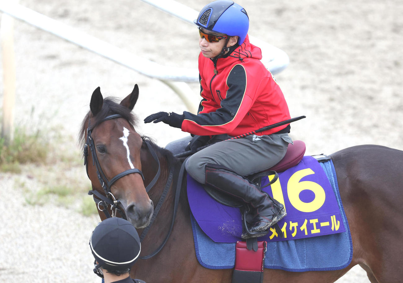 池添騎手を背にしたメイケイエール（2022年9月28日撮影）