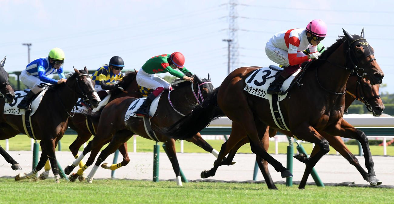 外から鋭く伸びて新馬戦を制したダノンタッチダウン（撮影・前岡正明）