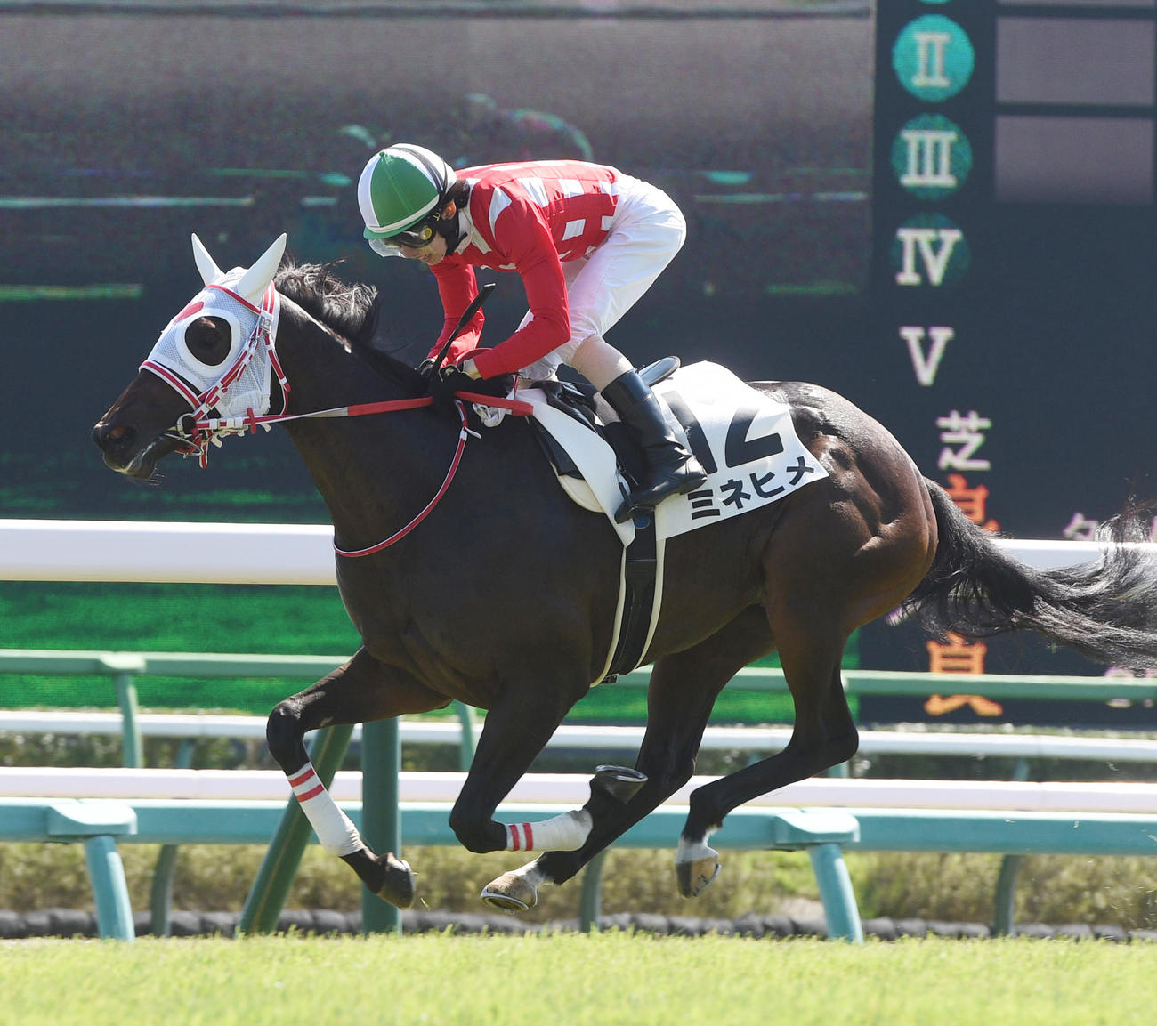 3R、新馬戦を制したミネヒメと嶋田騎手（撮影・柴田隆二）