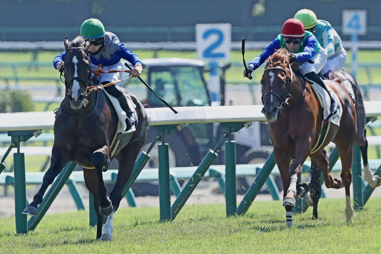 中山5R、デビュー戦を快勝したセブンマジシャンと西村淳騎手（左）（撮影・丹羽敏通）