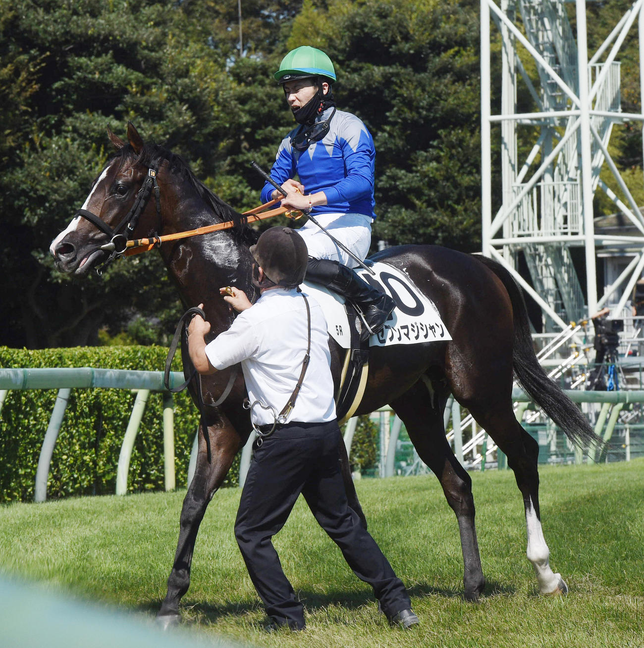 5R、新馬戦を制したセブンマジシャンと西村淳騎手（撮影・柴田隆二）