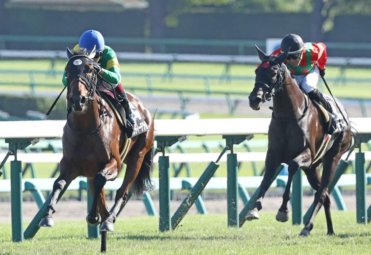 中山9R、サフラン賞を制したサンティーテソーロと鮫島駿騎手（左）（撮影・丹羽敏通）