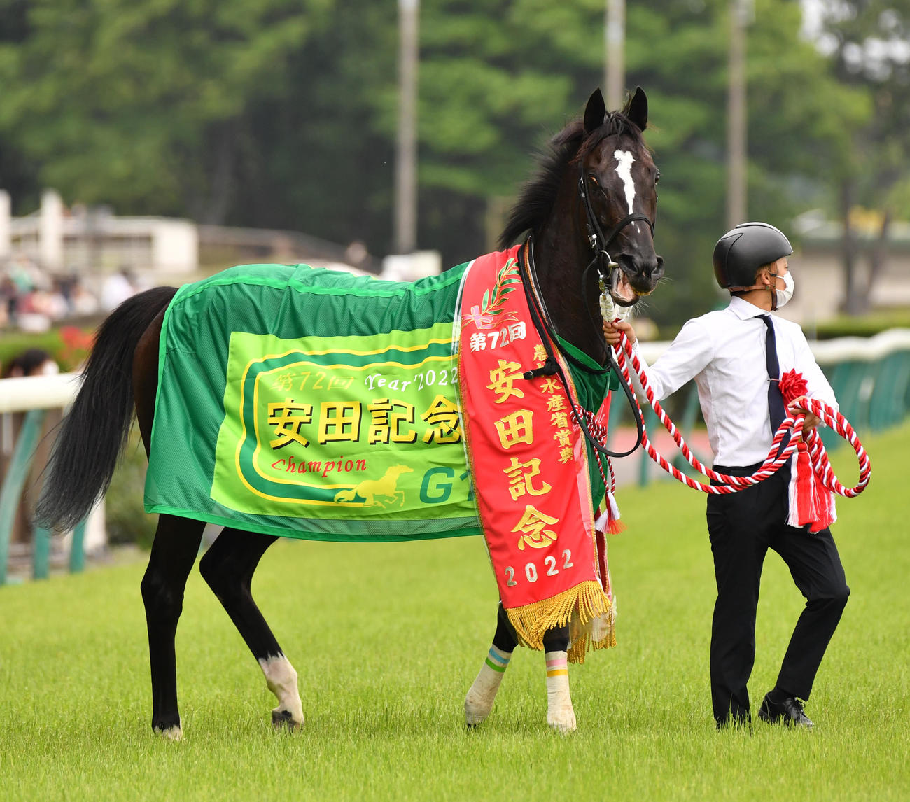 安田記念を制したソングライン（2022年6月5日撮影）
