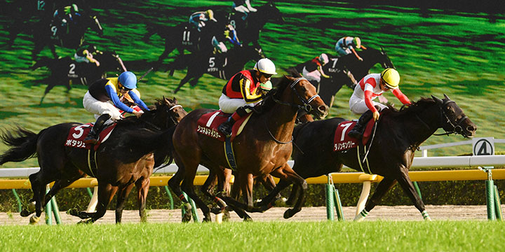 毎日王冠を制したシュネルマイスター（中央）＝2021年10月10日、東京競馬場