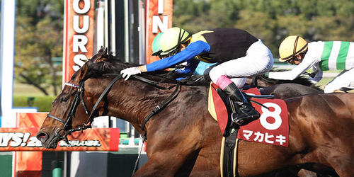 京都大賞典でアリストテレス(右)をかわすマカヒキ=2021年10月10日、阪神競馬場