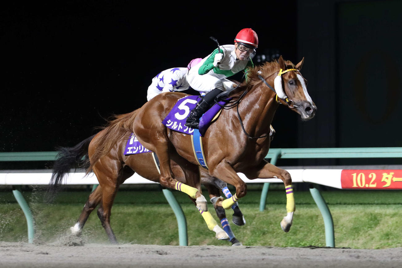 逃げ粘るエンリル（奥）に直線で競り勝ちダービーグランプリを制したシルトプレと石川倭騎手