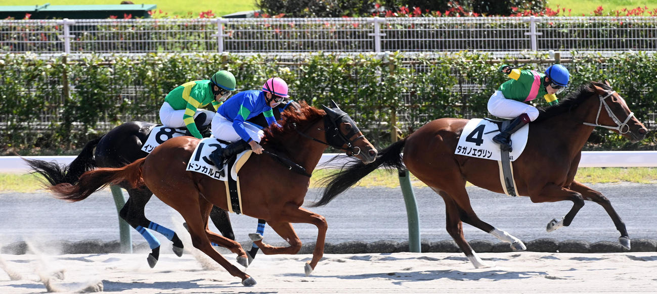 直線抜け出し新馬戦を制したタガノエヴリン（撮影・前岡正明）