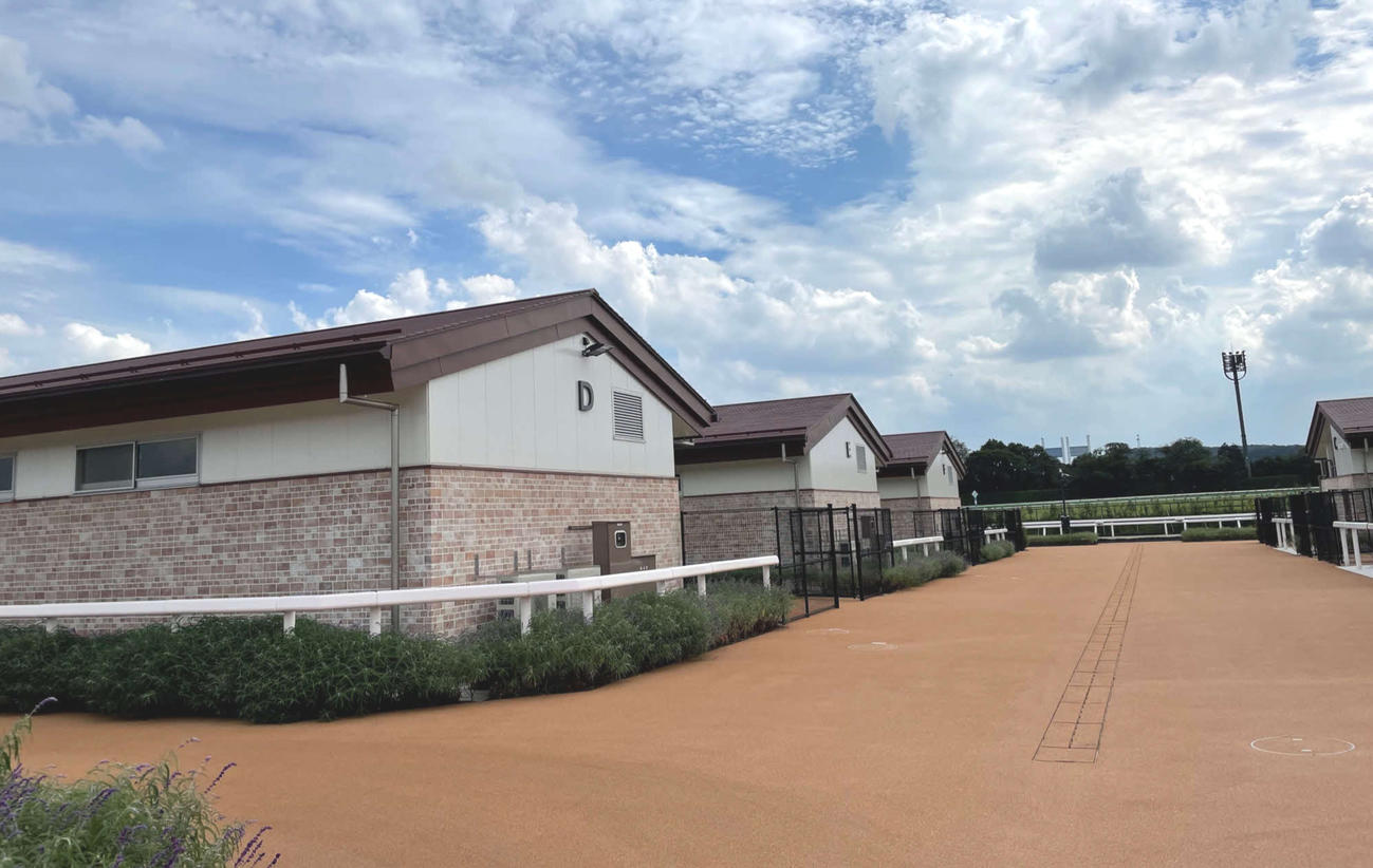 東京競馬場の馬場内に新設された国際厩舎