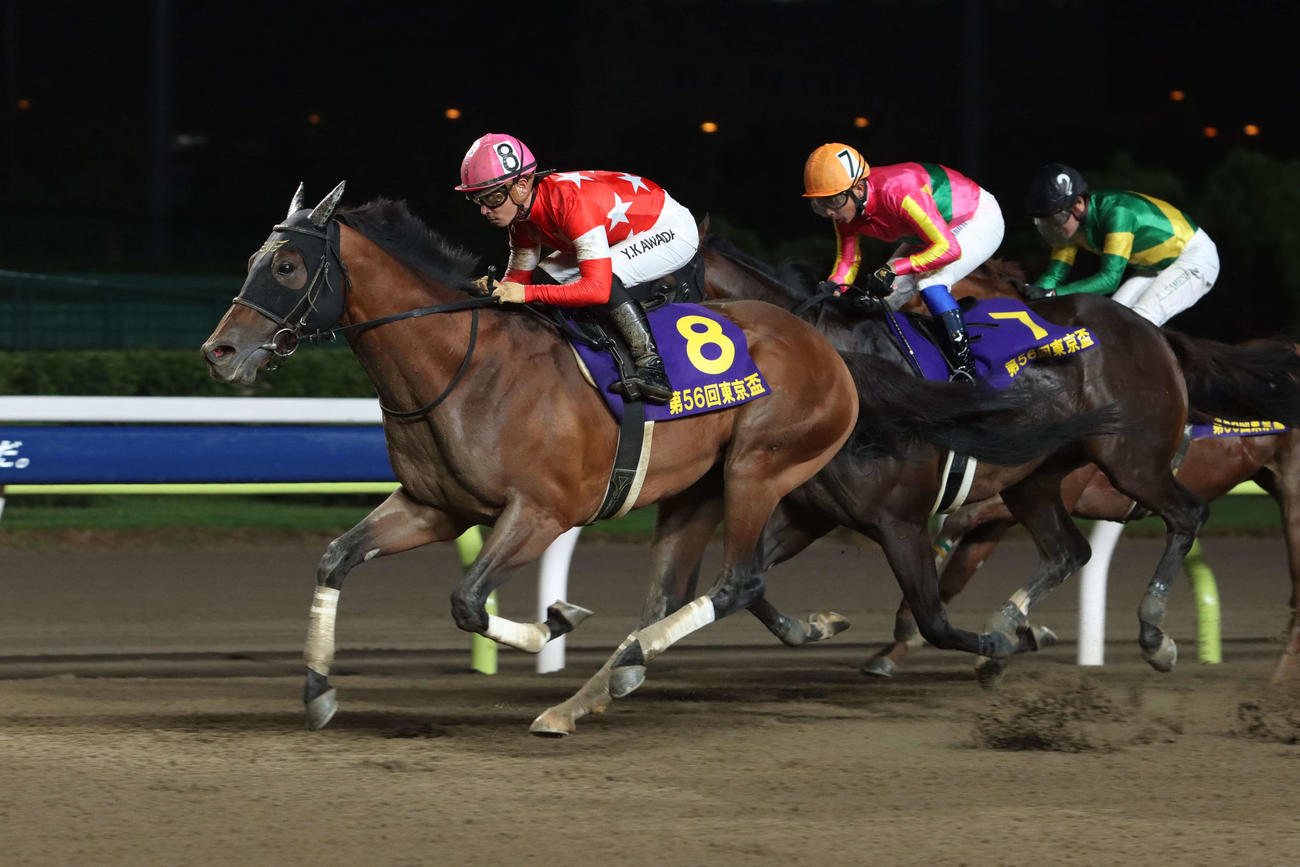 直線で差し切り東京盃を制したレッドルゼルと川田将雅騎手
