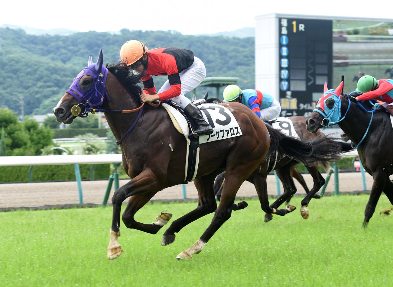 ブーケファロスと菅原明良騎手（2022年7月23日撮影）