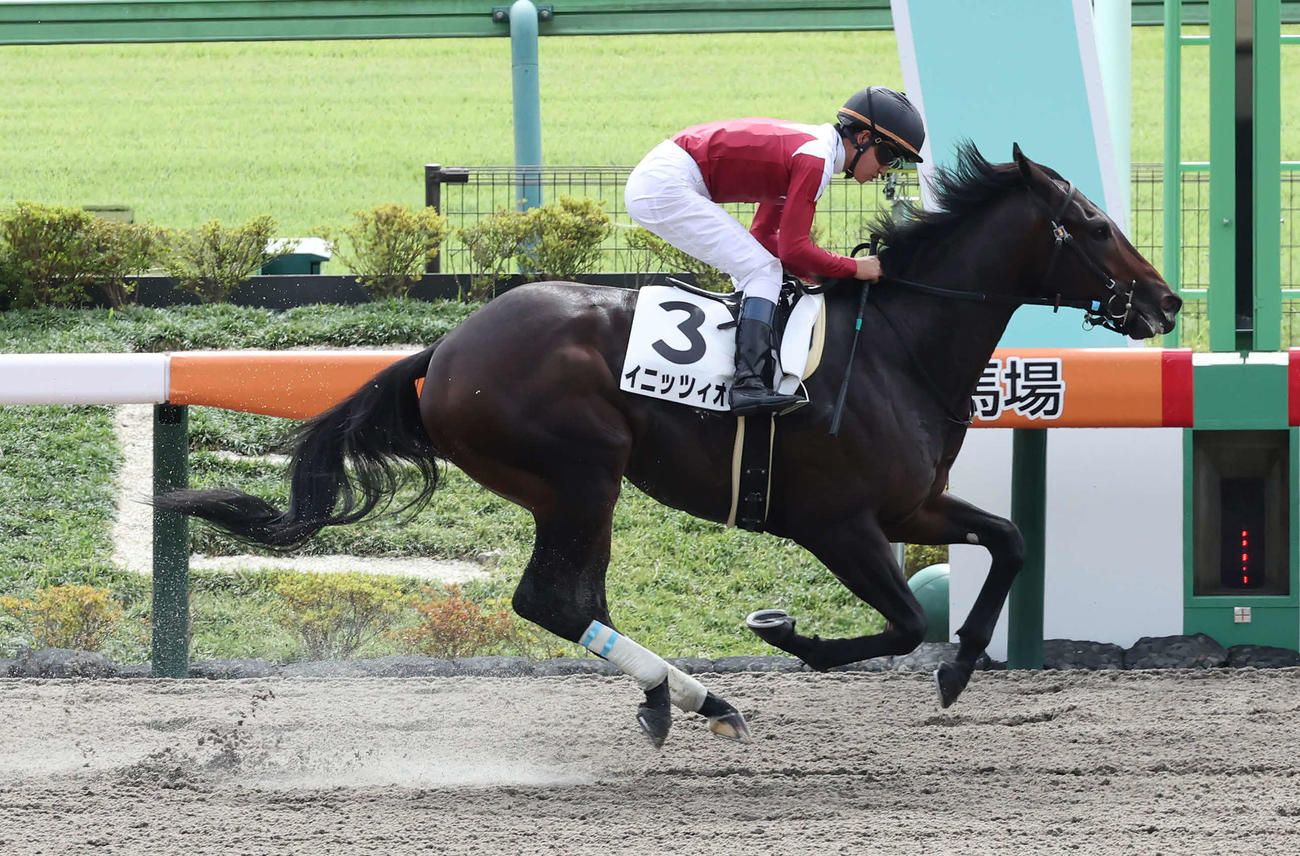 東京4R、2歳新馬戦を快勝したイニッツィオと菅原明騎手（撮影・丹羽敏通）