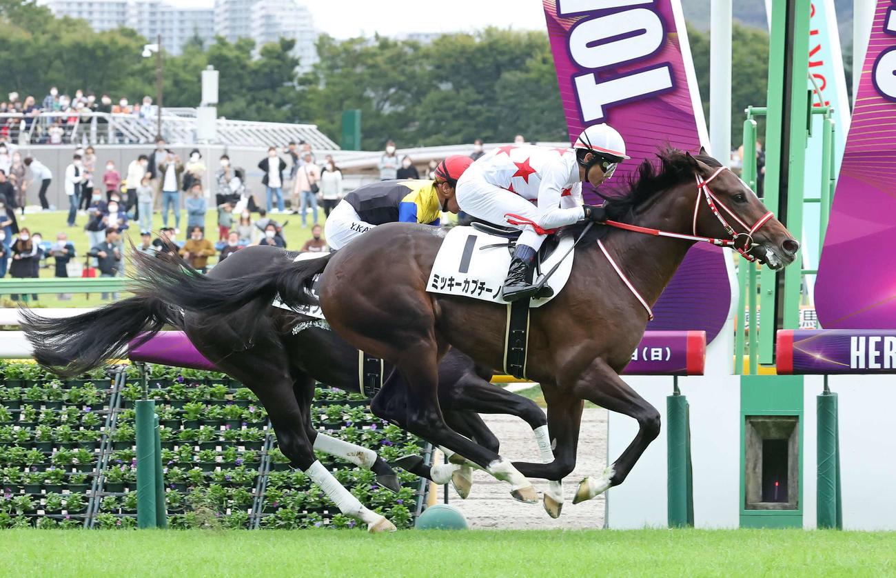 東京5R、2歳新馬戦を制したミッキーカプチーノ（手前）（撮影・丹羽敏通）