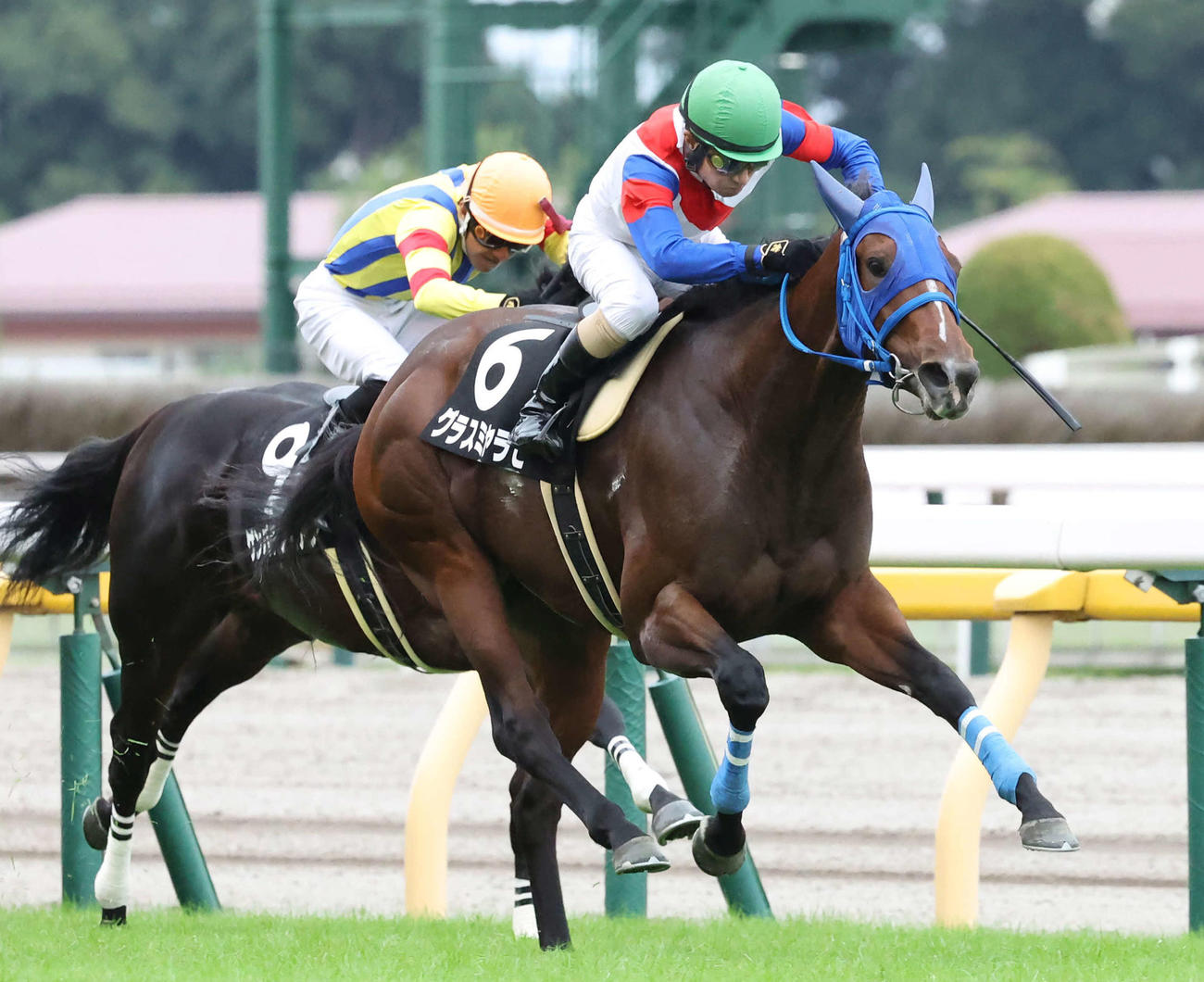 三鷹特別を制したグラスミヤラビと柴田善騎手（撮影・丹羽敏通）