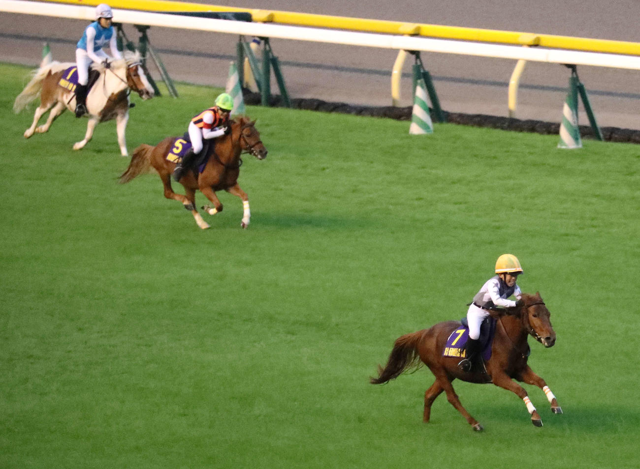 第12回ジョッキーベイビーズで大差をつけて優勝した松浦くん（右）（撮影・丹羽敏通）