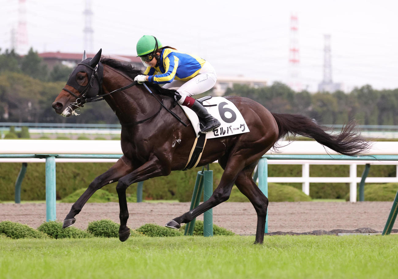 逃げ切って3歳以上1勝クラスを勝利した今村聖奈騎手騎乗のセルバーグ（撮影・白石智彦）