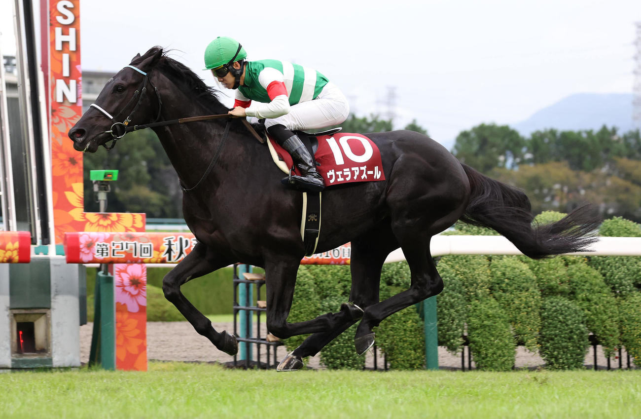 直線鋭く伸びて京都大賞典を制したヴェラアズール（撮影・白石智彦）