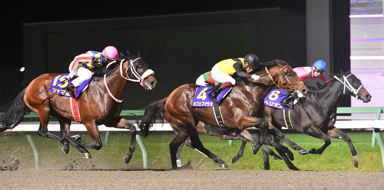 南部杯を制したカフェファラオ（中央）、2着ヘリオス（右）、3着シャマル（撮影・柴田隆二）