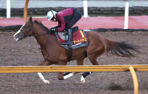 秋華賞 アートハウス馬なりで11秒８ 中内田師 使って体が良くなった G1追い切り速報 競馬写真ニュース 日刊スポーツ