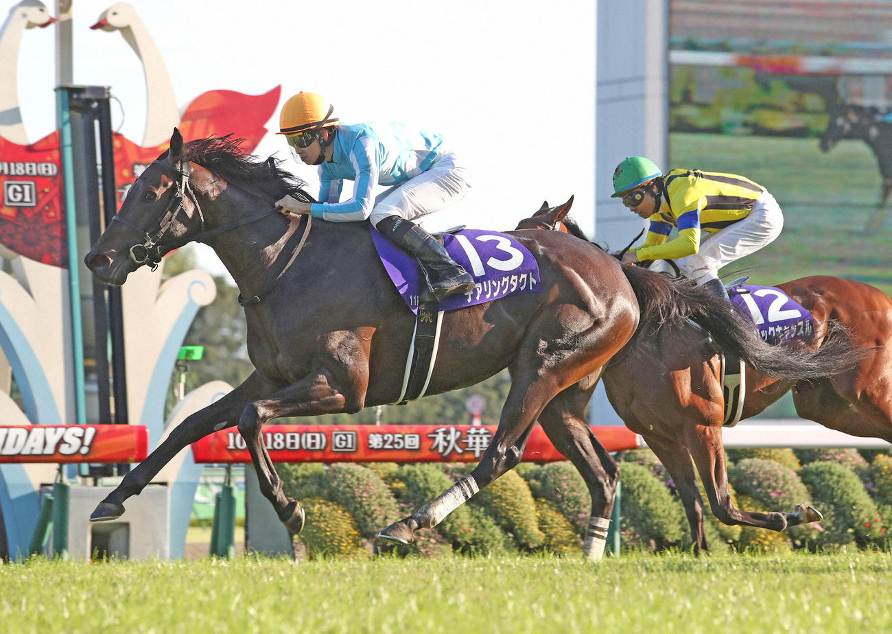 20年10月、秋華賞を制して史上初の無敗の三冠牝馬に輝いたデアリングタクト