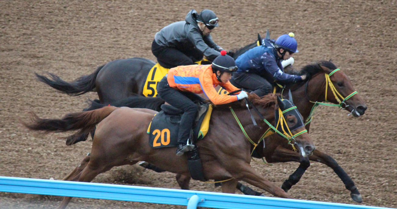 3頭併せの真ん中を力強く伸びるタケウチリッキー