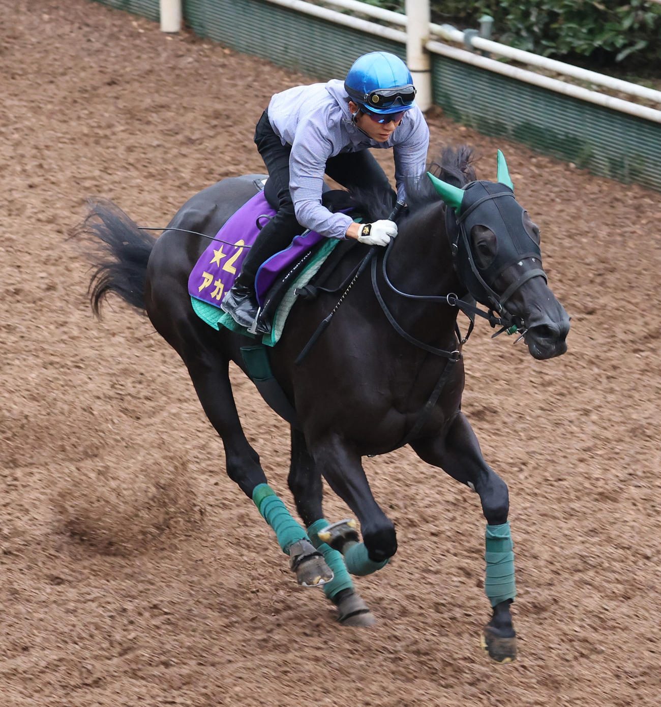 幸騎手を背に坂路で追い切るアカイイト