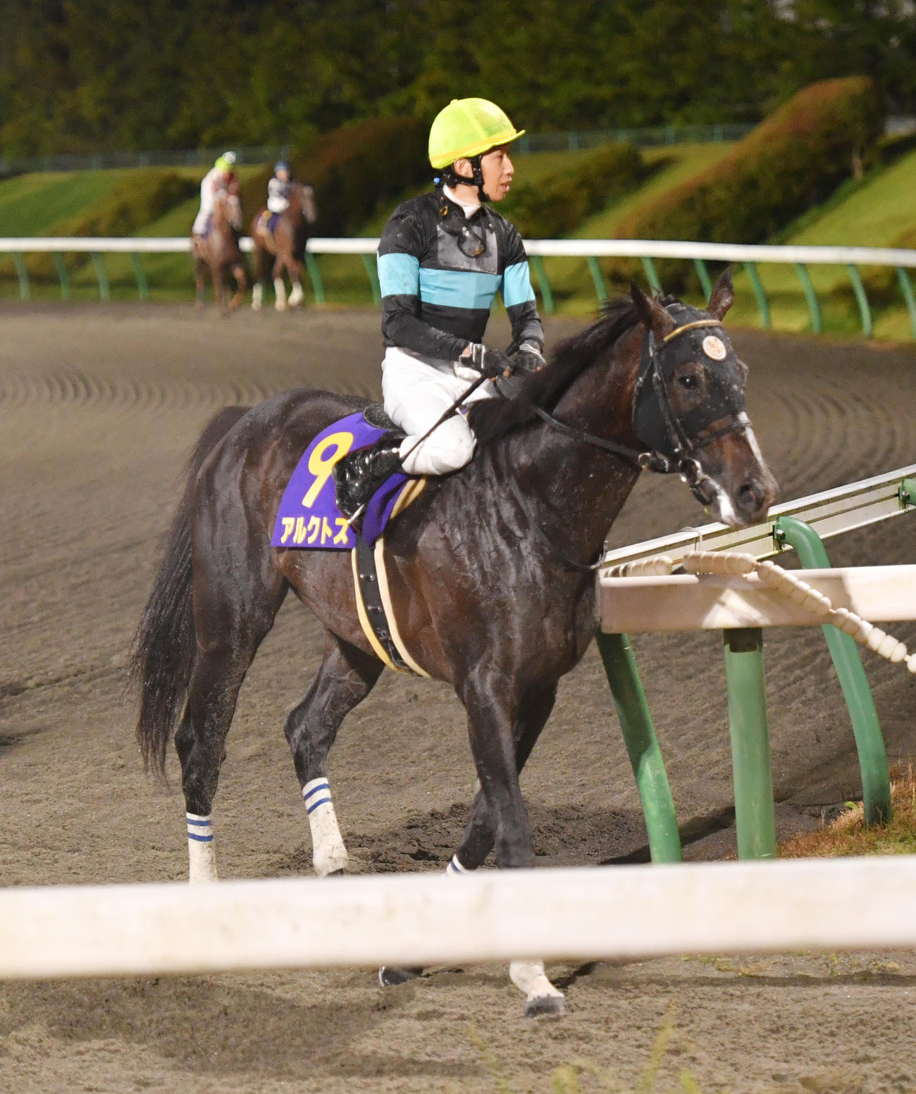 南部杯で14着に敗れたアルクトスと田辺騎手（2022年10月10日撮影）