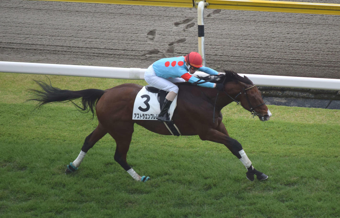 新潟1Rで障害初勝利を挙げたアストラエンブレムと五十嵐騎手（撮影・桑原幹久）