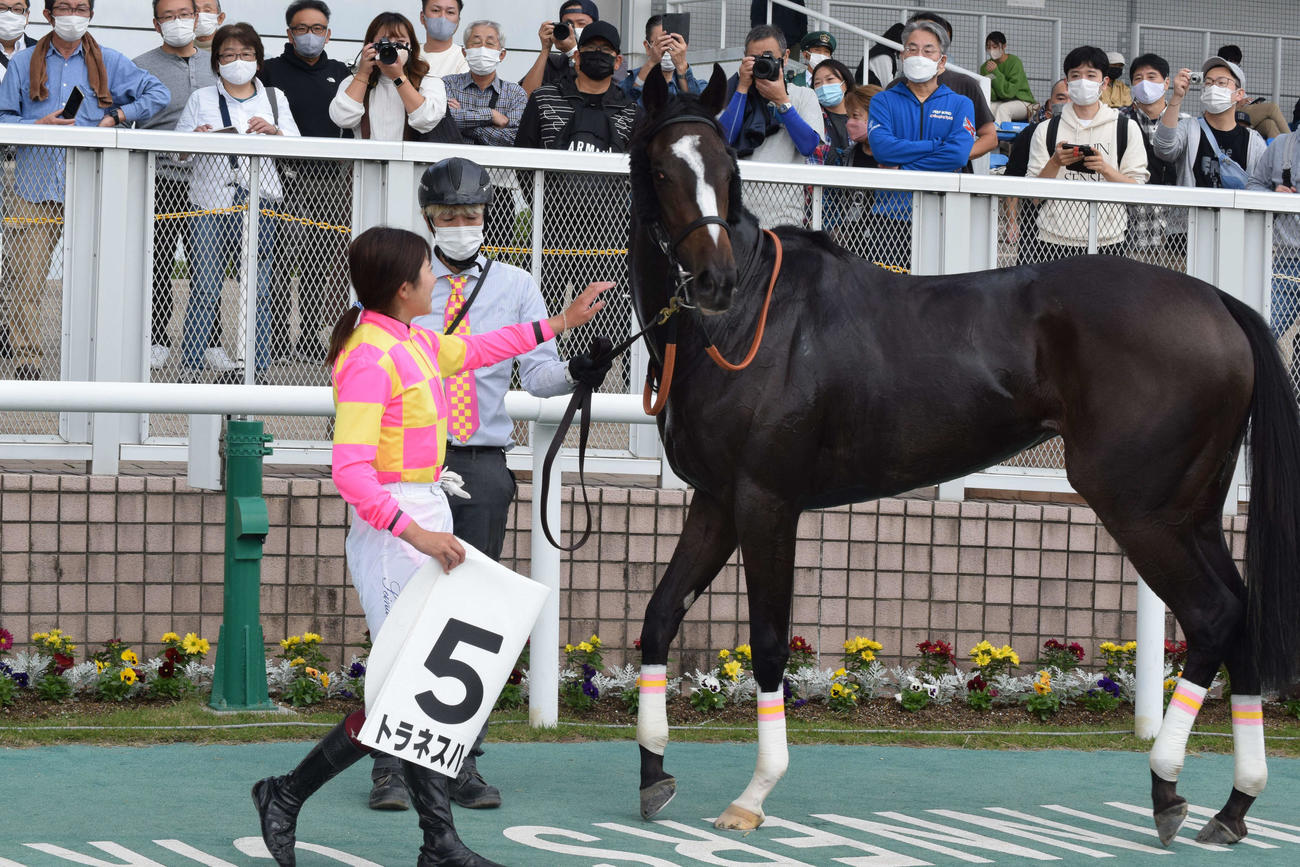 今村騎手は新潟3Rを制したトラネスハープに笑顔で寄り添う（撮影・桑原幹久）