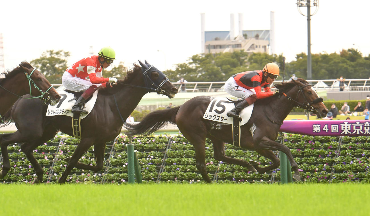 東京3R、新馬戦を制したリックスター（右）（撮影・柴田隆二）