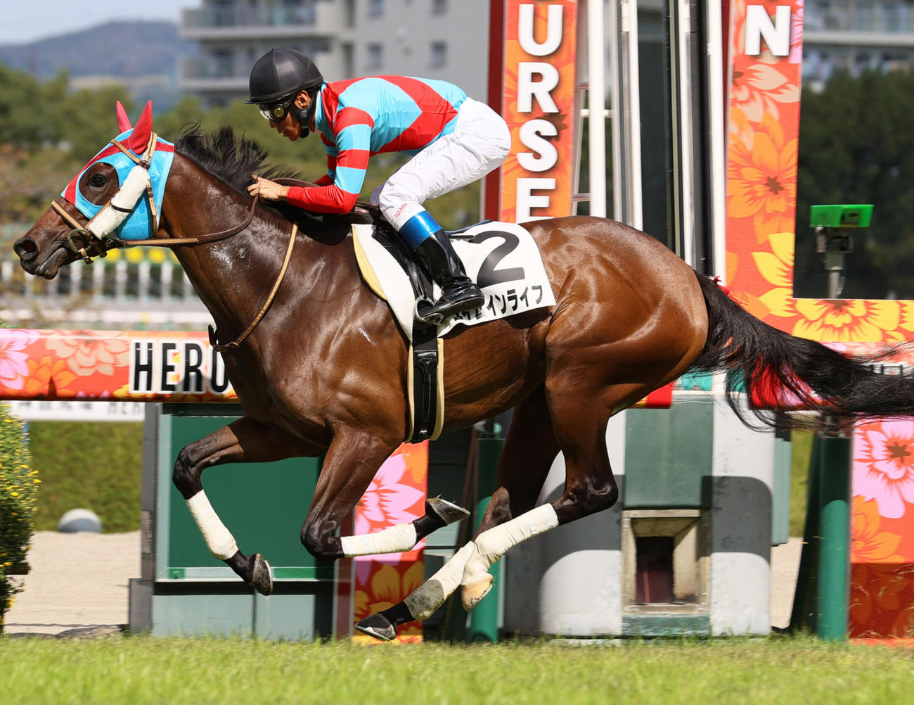 阪神5R新馬戦を制したエイムインライフと浜中騎手（撮影・上山淳一）