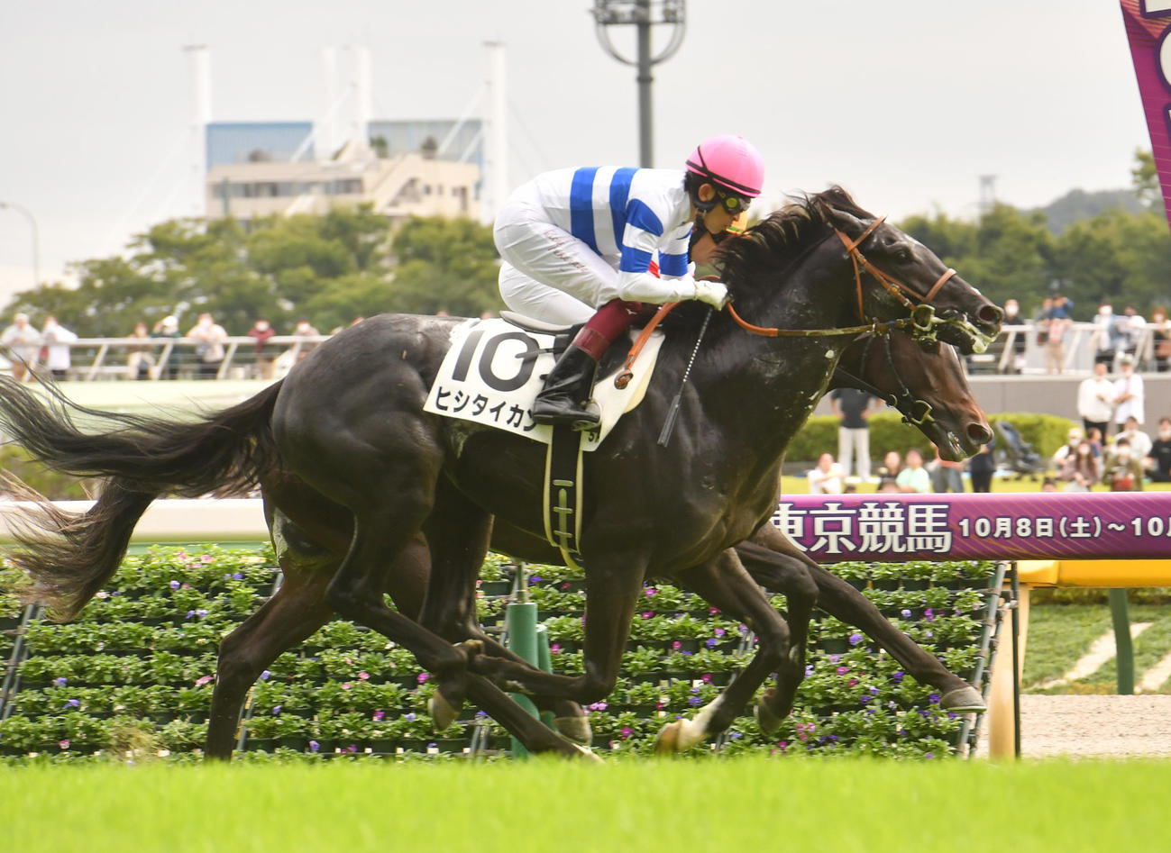 東京5R、新馬戦を制したヒシタイカン（手前）（撮影・柴田隆二）