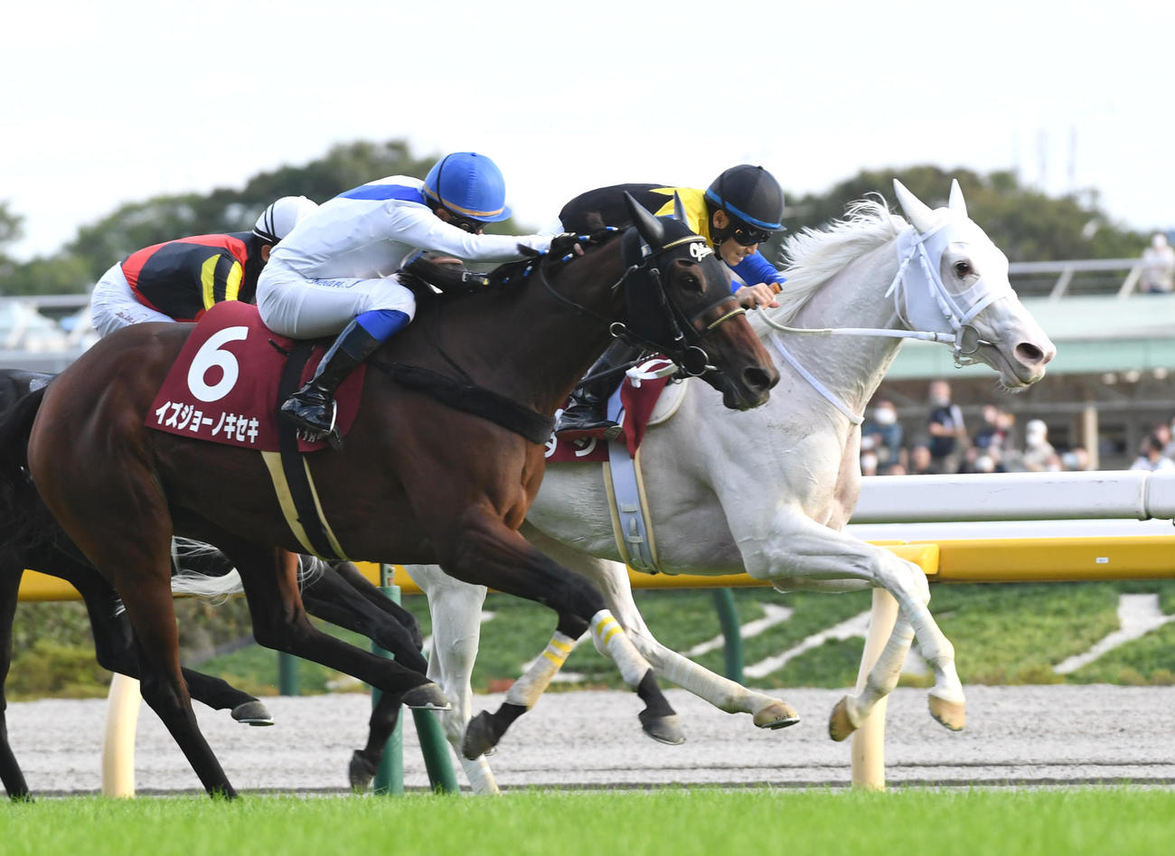 府中牝馬S2着に敗れたソダシ（右）。手前は勝ったイズジョーノキセキ（撮影・柴田隆二）
