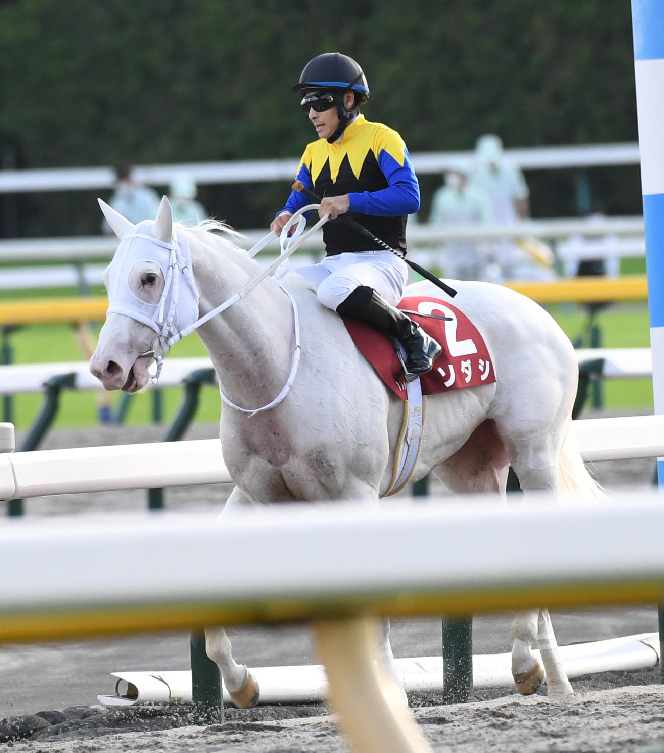 府中牝馬Sで2着に敗れたソダシと吉田隼騎手（撮影・柴田隆二）