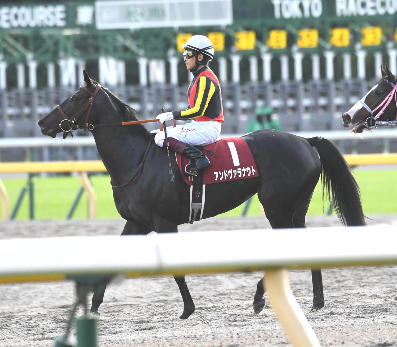 府中牝馬Sで3着に敗れたアンドヴァラナウトと福永騎手（撮影・柴田隆二）