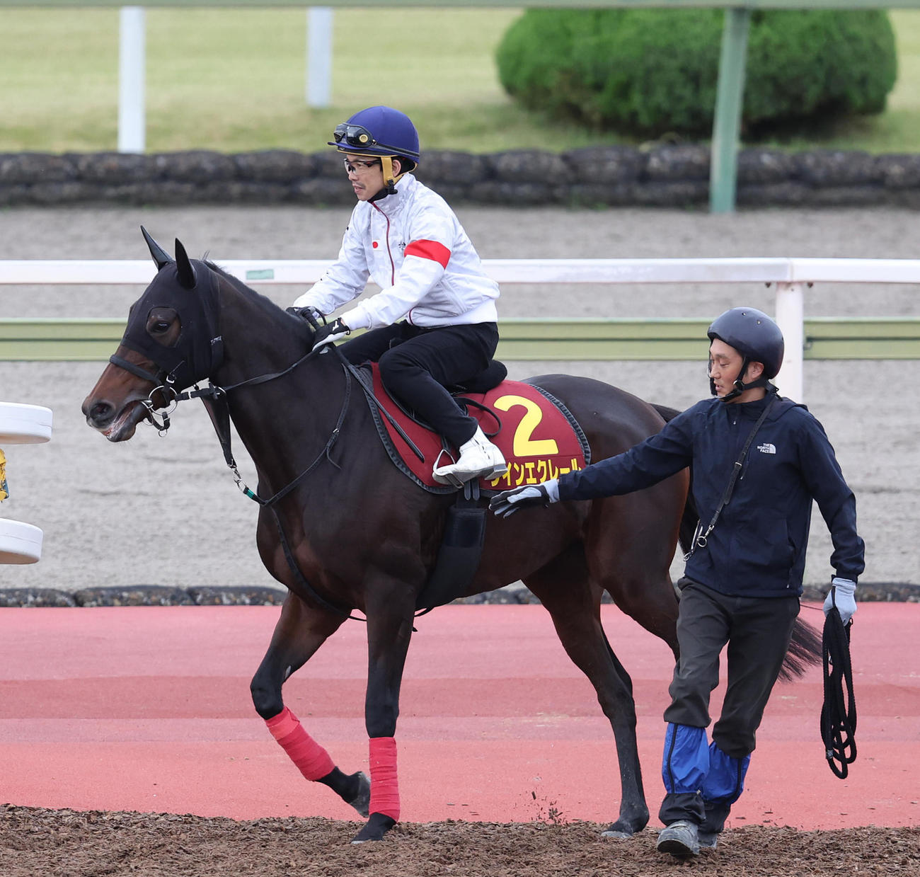ウインエクレール（2022年10月12日撮影）
