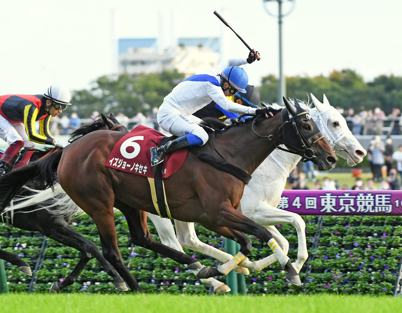 府中牝馬Sを制したイズジョーノキセキ（手前）奥は2着ソダシ（撮影・柴田隆二）