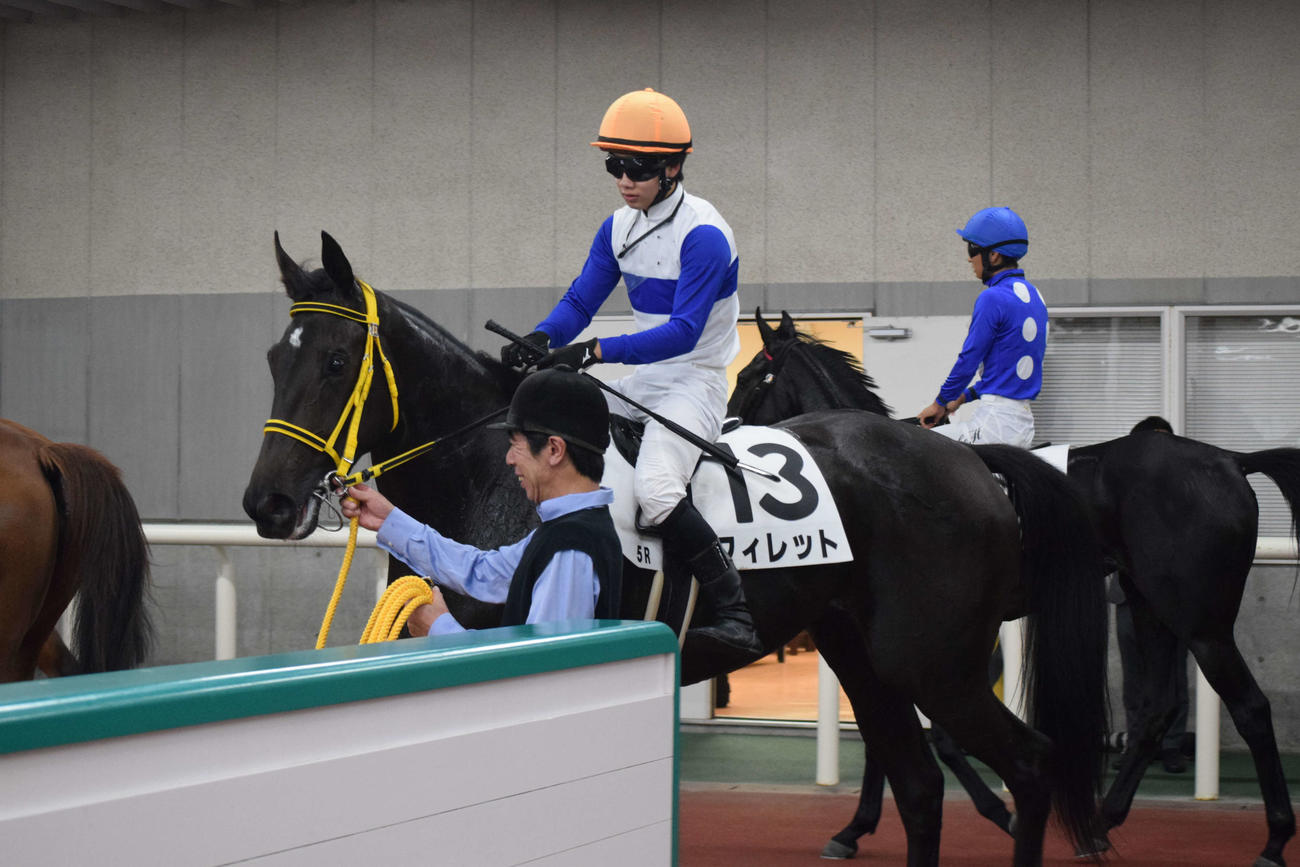 新潟5R戦をフィレットで制した横山琉騎手