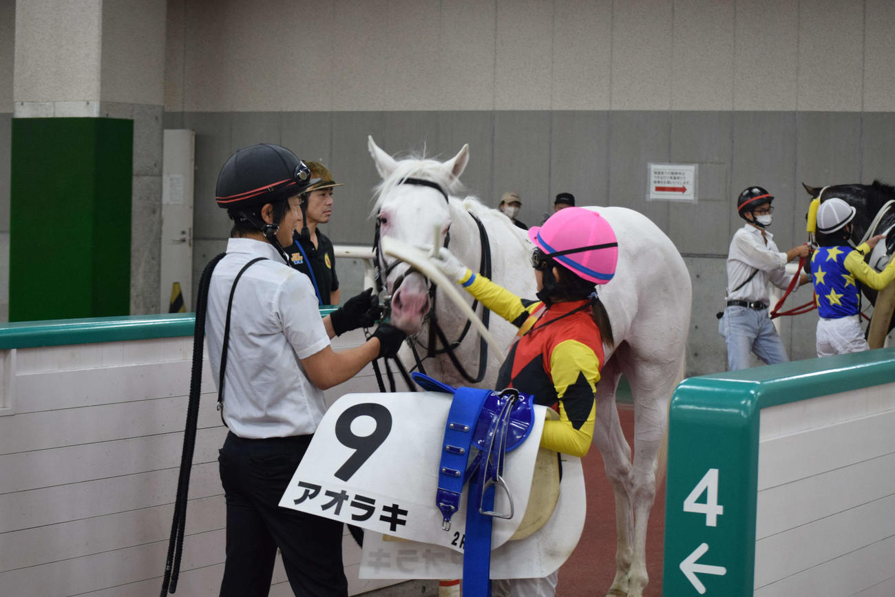新潟2Rで4着に入ったアオラキをねぎらう今村騎手（撮影・桑原幹久）