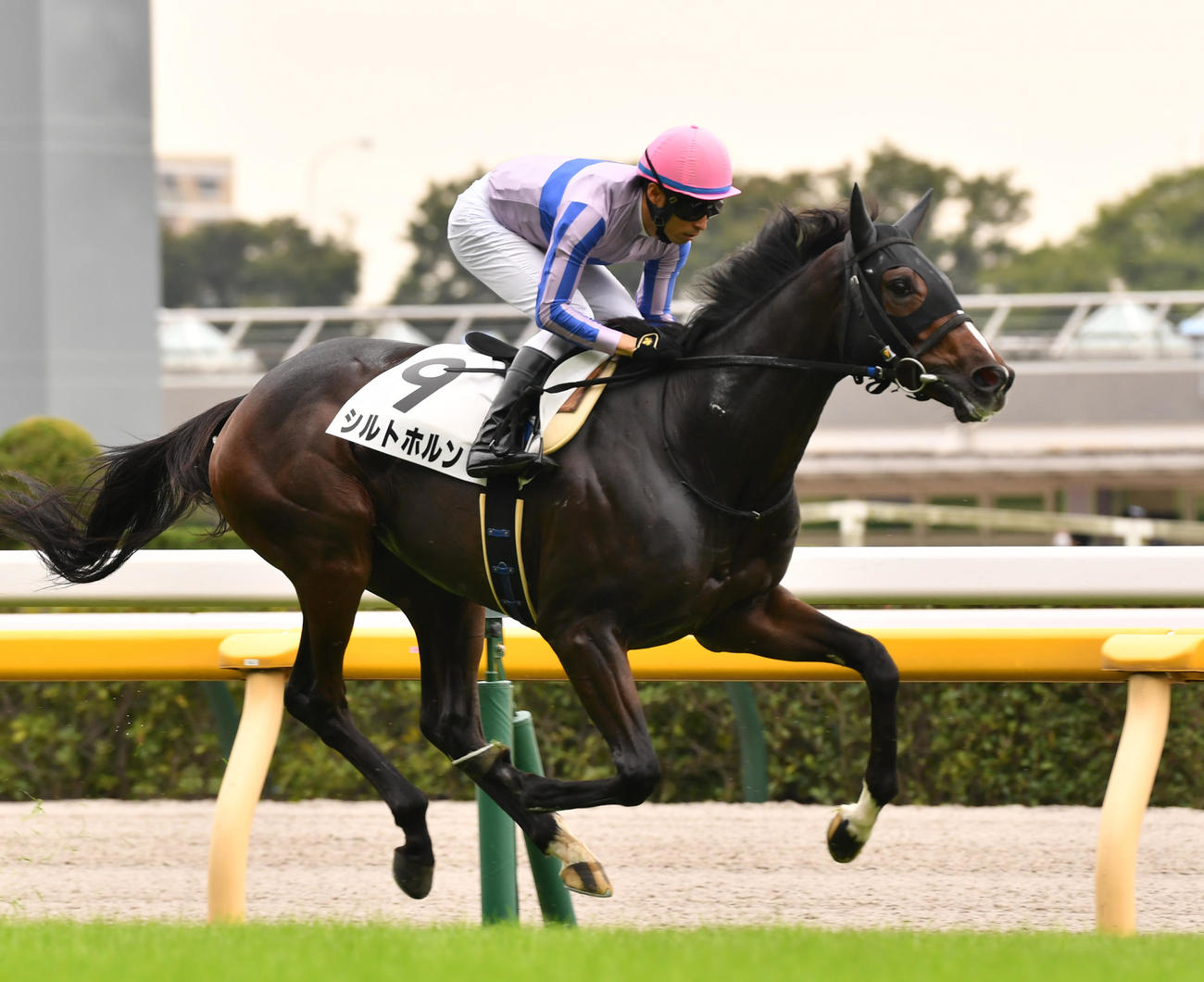 シルトホルン（撮影・柴田隆二）