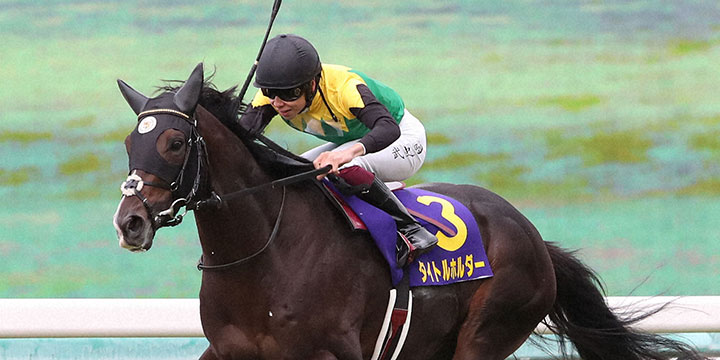 悠々と逃げ切って菊花賞を制したタイトルホルダー＝2021年10月24日、阪神競馬場
